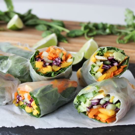 Rainbow Rolls with Peanut Sauce - Recipe photo by reachingforgreens
