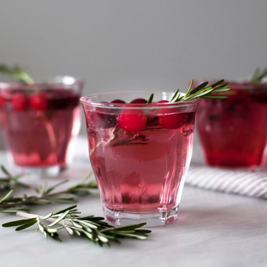 CRANBERRY ROSEMARY SPRITZER - Recipe photo by modestmarce