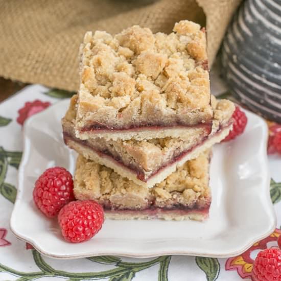 Raspberry Crumb Bars - Recipe photo by thatskinnychickcanbake