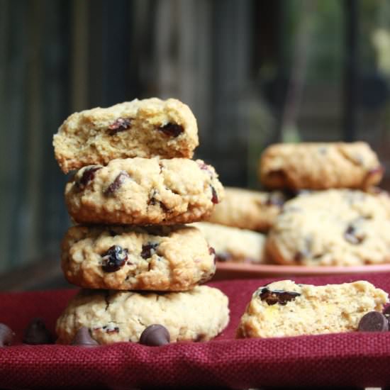 Cranberry Chocolate Oatmeal Cookies - Recipe photo by The Desserted Girl