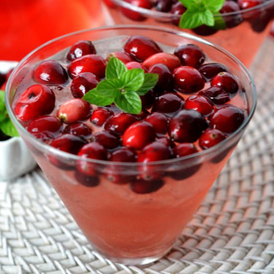 Holiday Sangria - Recipe photo by Simple Hacks Living
