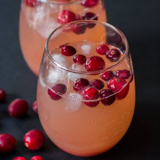 Cranberry Orange Soda - Recipe photo by blenderhappy