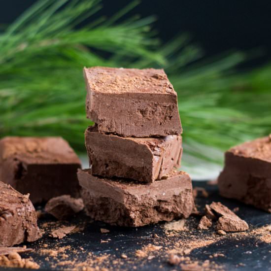 Raw Chocolate Fudge - Recipe photo by foodieawareness