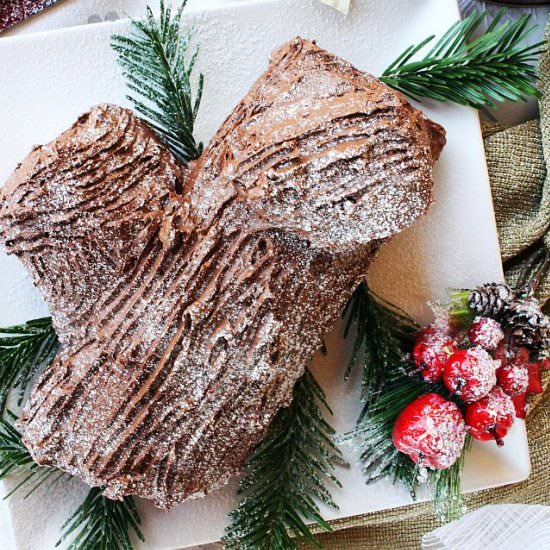 Chocolate yule log - Recipe photo by micky apostu