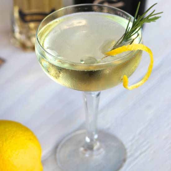 Fancy Prosecco Cocktail - Recipe photo by Everyday Gourmet with Blakely