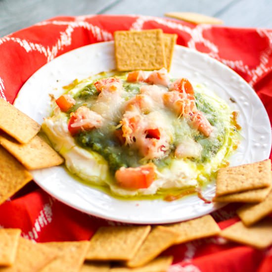 Cream Cheese Pesto Spread - Recipe photo by OhSoDelicioso