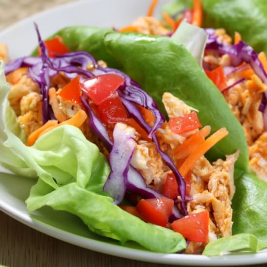 Buffalo Chicken Lettuce Wraps - Recipe photo by TheEyesofaBoy