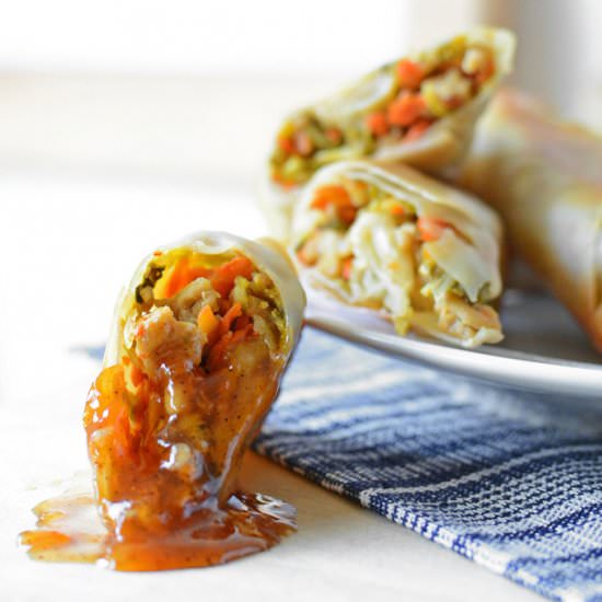 Homemade Duck Sauce - Recipe photo by SimpleSeasonal