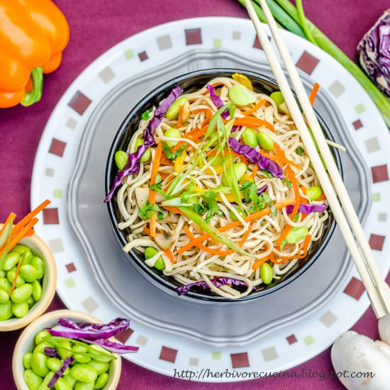 Rainbow Shirataki Noodle - Recipe photo by Herbivore Cucina