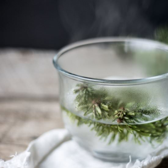 Healing Conifer Tea - Recipe photo by theviewfromgreatisland