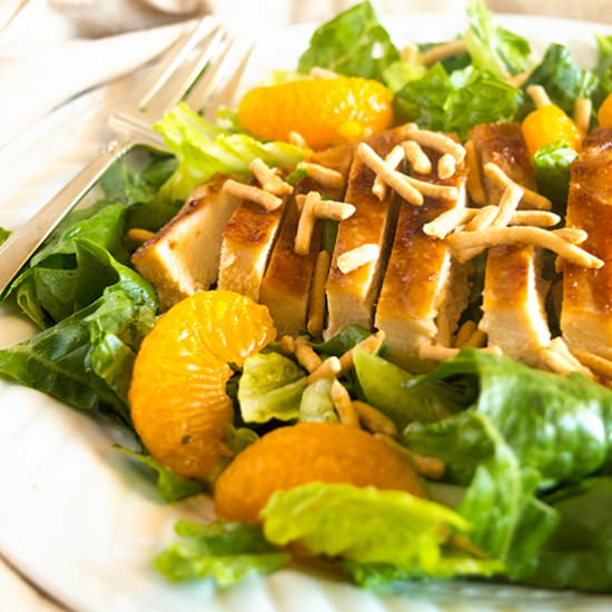 Delicious Asian Chicken Salad - Recipe photo by BakingMischief