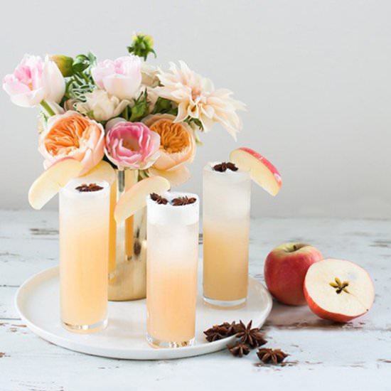 Apple Brandy Allspice Fizz Cocktail - Recipe photo by SugarAndCloth