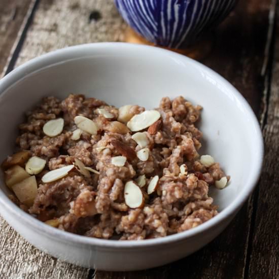 Slow Cooker Apple Cranberry Oatmeal - Recipe photo by dashofherbs