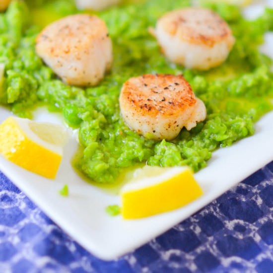 Seared Scallops + Pea Pesto - Recipe photo by lucismorsels