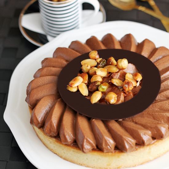 Divine Dark Chocolate Mousse Tart - Recipe photo by The_Cookie_Fairy