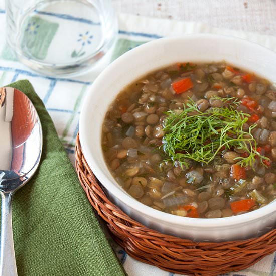 VEGETARIAN LENTIL SOUP - Recipe photo by The Crafting Nook