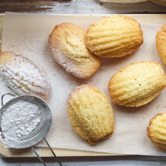 Lemon Madeleines - Recipe photo by olliebo
