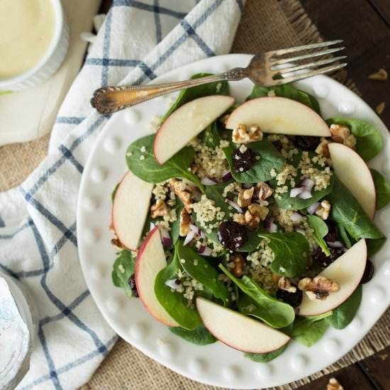 Apple Walnut Spinach Salad - Recipe photo by LaurendaMarie