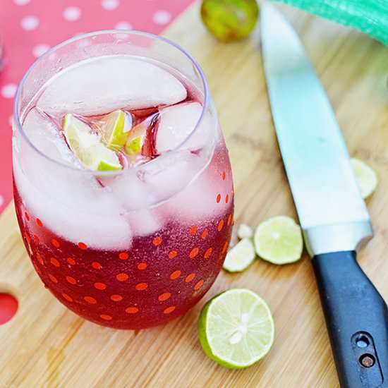 Sparkling Pomegranate Punch - Recipe photo by sunnysweetdays