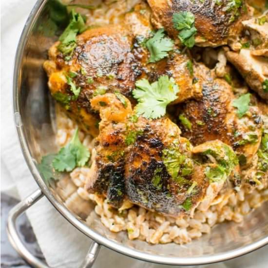 Slow Cooker Cilantro Lime Chicken - Recipe photo by slowcookergourmet