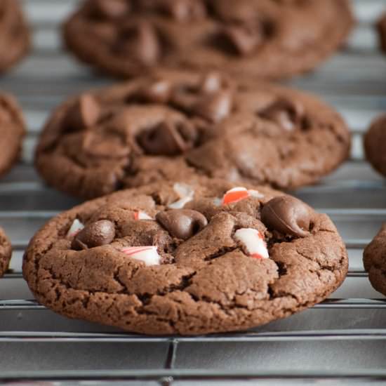 Double Chocolate Chip Peppermint Cookies - Recipe photo by myhomemadeheaven