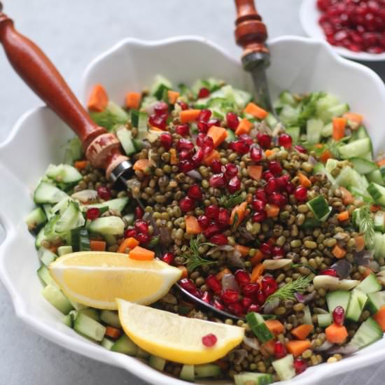 Mung Bean-Dill and Pomegranate Salad - Recipe photo by foodfashionparty