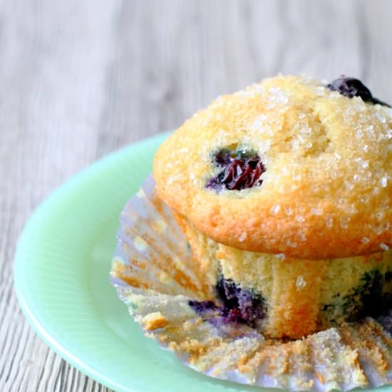 The Best Blueberry Muffins - Recipe photo by foodtasticmom