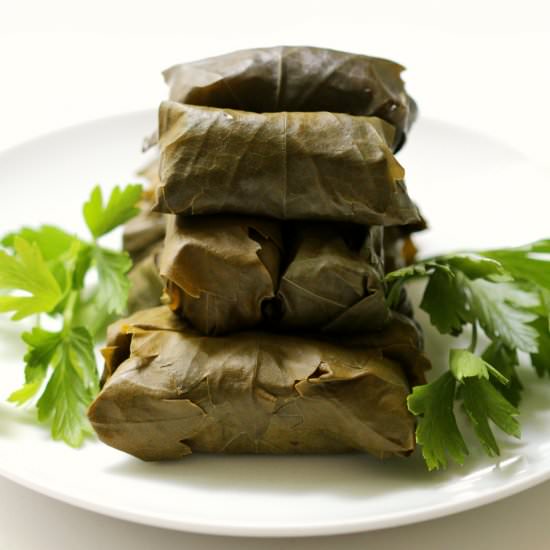 Vegan Rice Stuffed Dolmades - Recipe photo by strengthandsunshine