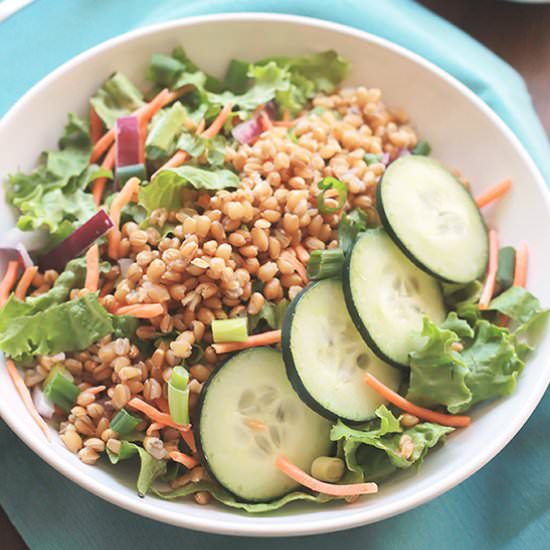 Asian Wheat Berry Salad - Recipe photo by Thewholeserving