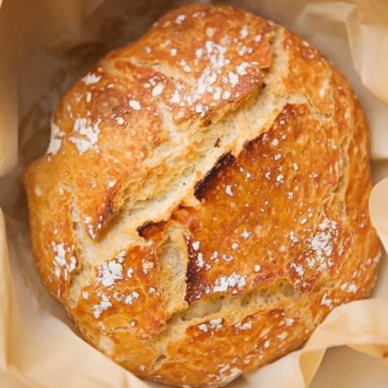 No Knead Dutch Oven Bread - Recipe photo by littlespicejar