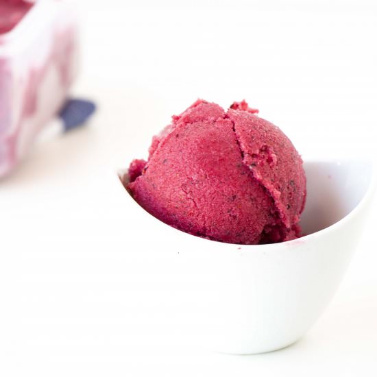 Vegan Berry Frozen Yoghurt - Recipe photo by baking-ginger