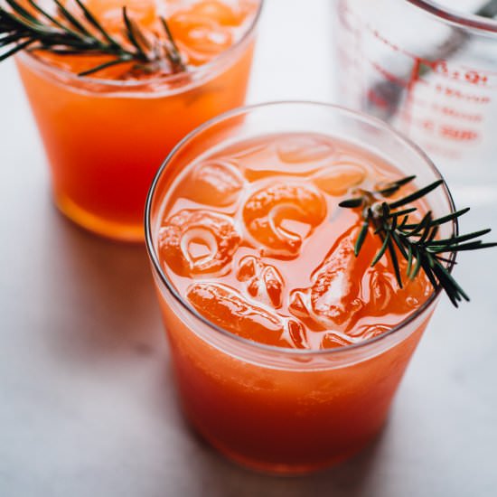 Grapefruit Kombucha Agua Fresca - Recipe photo by frolic chocolate