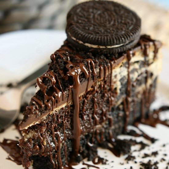 Oreo Brownie Swirl Cheesecake - Recipe photo by yummycrumble