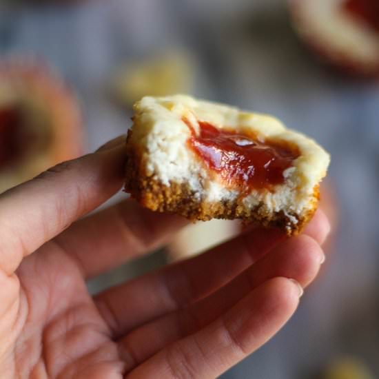 Guava Cheesecake Cups - Recipe photo by TheBlissfulBalance