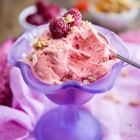 HIGH PROTEIN FROZEN YOGURT - Recipe photo by The Healthy Foodie