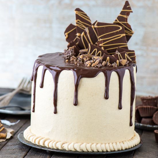 Peanut Butter Chocolate Cake - Recipe photo by thefirstyearblog