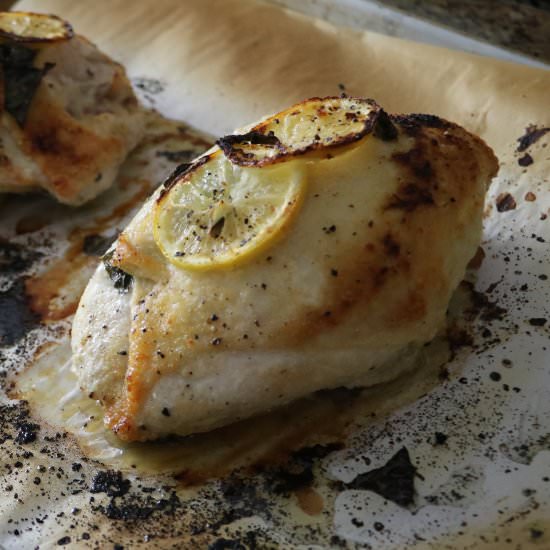 Lemon Basil Sheet Pan Chicken - Recipe photo by Canuemagine
