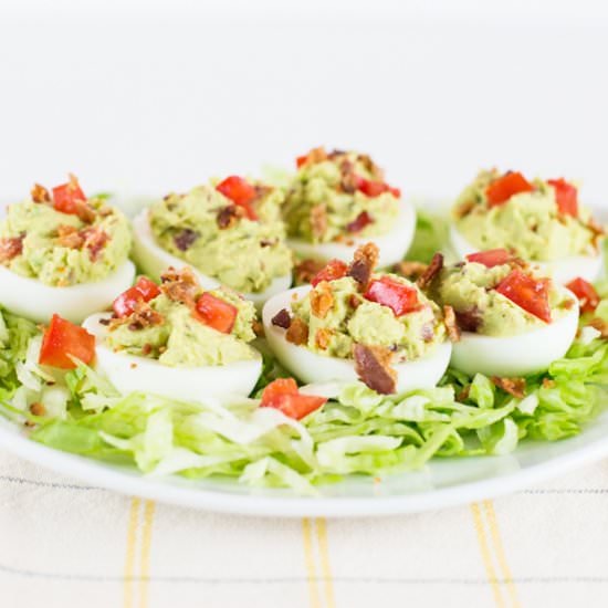 Avocado BLT Deviled Eggs - Recipe photo by Joy In Every Season