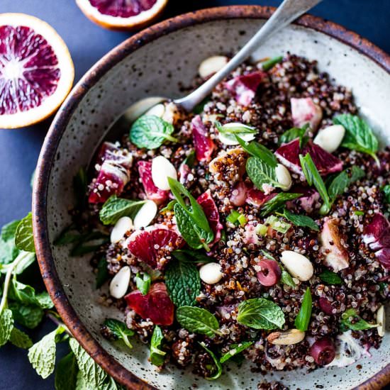 Moroccan Quinoa Salad - Recipe photo by Feasting at Home