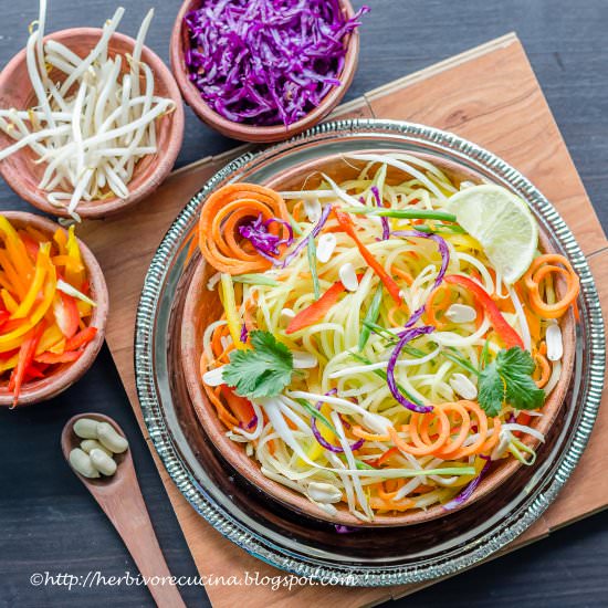 Thai Papaya Salad | Som Tam - Recipe photo by Herbivore Cucina