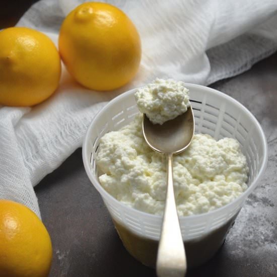 Homemade Fresh Ricotta Cheese - Recipe photo by shelovesbiscotti