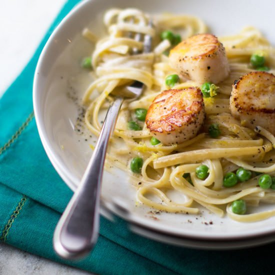 Seared Scallops with Cream Sauce - Recipe photo by Stiers Aesthetic
