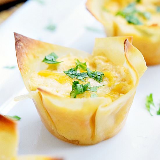 Buffalo Chicken Cups - Recipe photo by Home. Made. Interest.