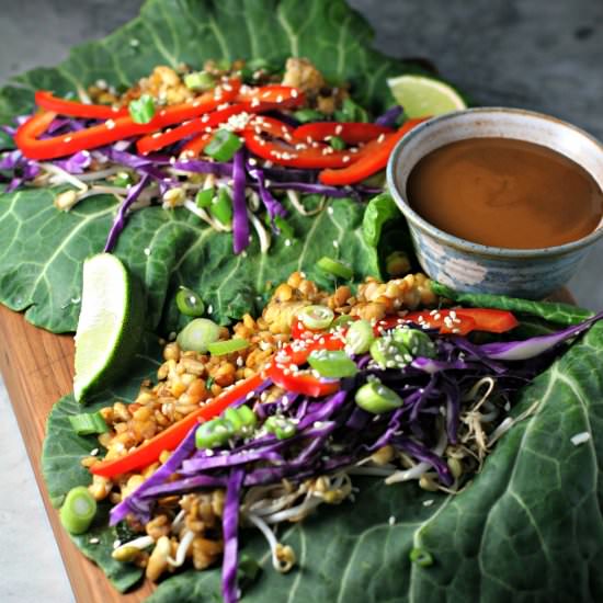 Thai Tempeh Collard Green Wraps - Recipe photo by crissy0316