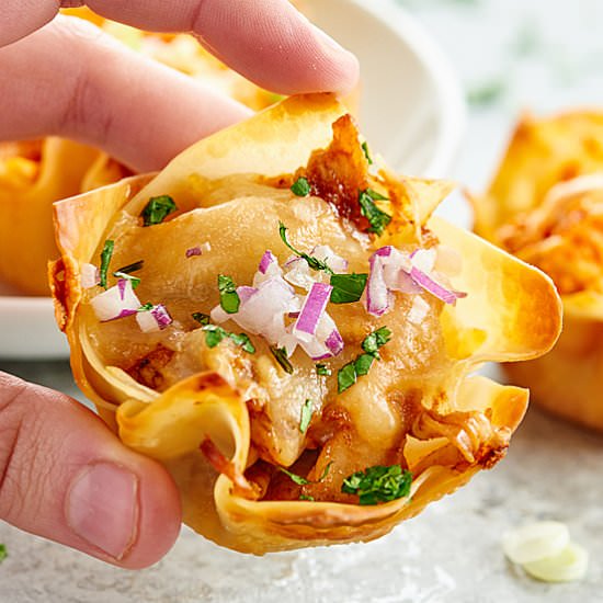 Chicken Wonton Cups - Recipe photo by showmetheyummy