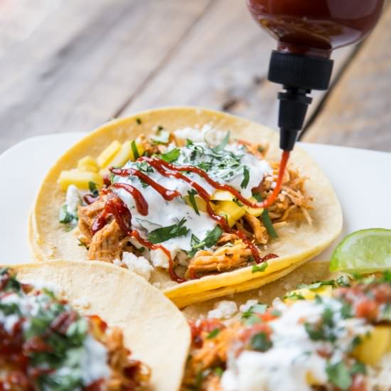 Chicken Tinga Tacos with Mango - Recipe photo by SouthernFATTY
