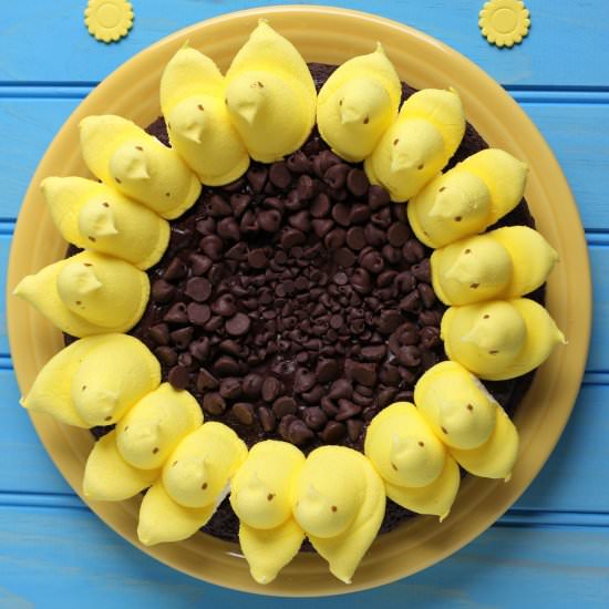 Peeps Sunflower Brownies - Recipe photo by thesemisweetsisters
