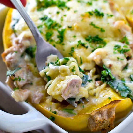 Chicken Alfredo Spaghetti Squash - Recipe photo by WholeAndHeavenlyOven
