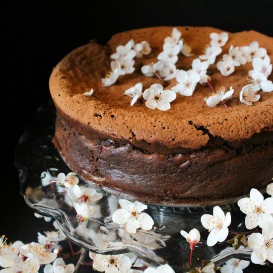 Plum Blossom Chocolate Torte - Recipe photo by Nitty Gritty Mama