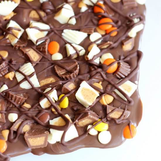 Triple Chocolate Peanut Butter Bark - Recipe photo by FoodFanatical